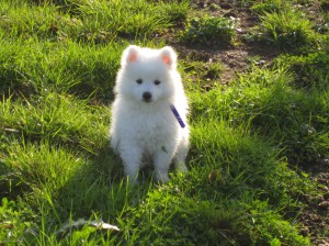 Är han inte bland det sötaste du sett, så säg?!