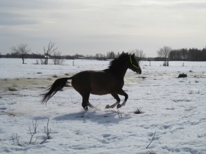 Alice har vårkänslor!