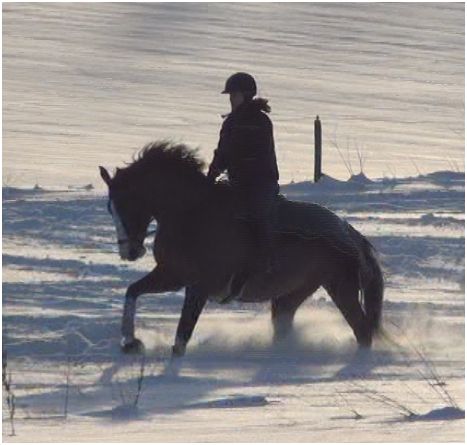 Alice & jag på nyårsafton
