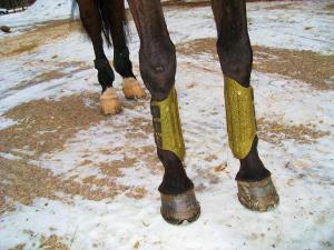 Guldfärgade benskydd