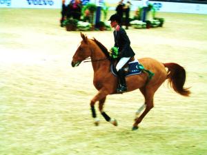 Luciana Diniz/As-Taro