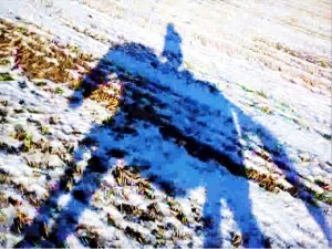 Skuggan av mig & Alice i full galopp!