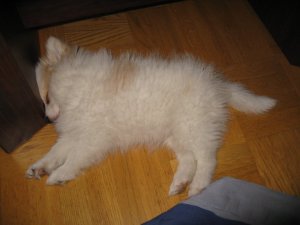 Kan man bli mycket sötare???