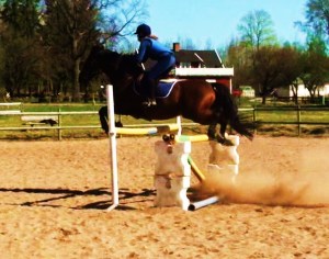 Blixten & jag hoppar 120