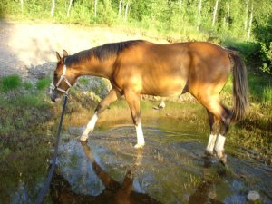 Alice plaskar i vattnet som ettåring (2007)