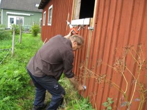 Pappa lägger den sista touchen på första utebox-dörren