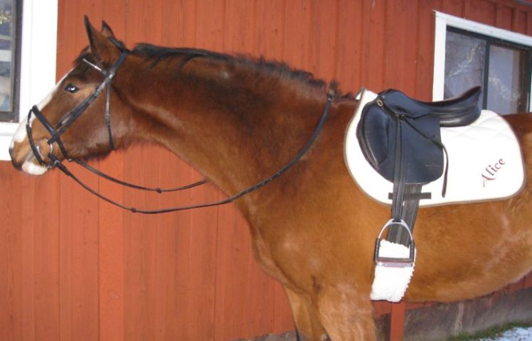 Alice med sitt broderade schabrak