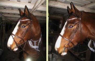 Vilket är snyggast?