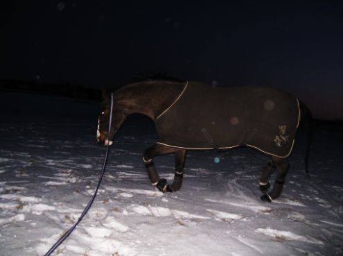 Alice 12 februari 2012