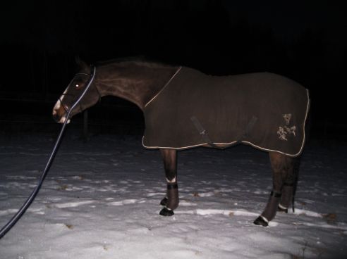 Alice 12 februari 2012