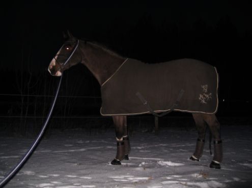 Alice 12 februari 2012