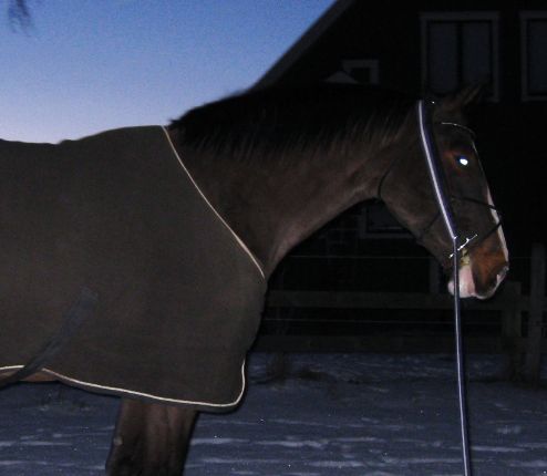 Alice 12 februari 2012