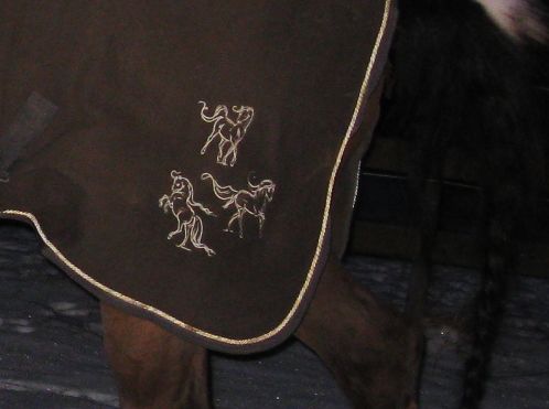 Alices fleecetäcke med Lena Furberg-motiv