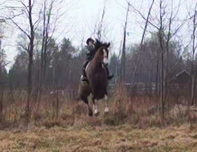 Första hoppet över diket