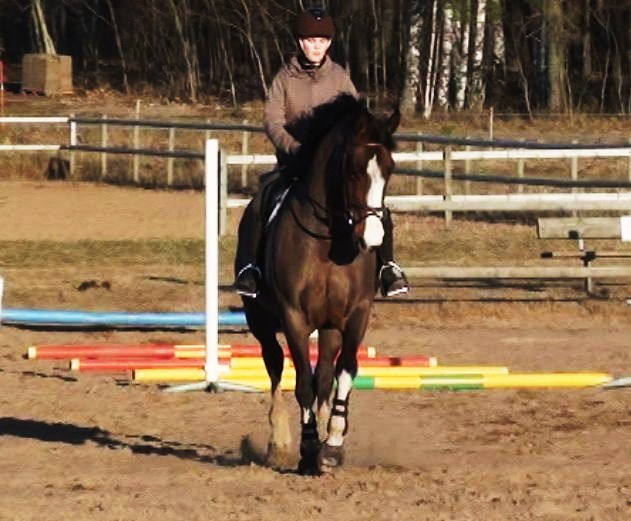 Sötingen och jag i en skänkelvikning