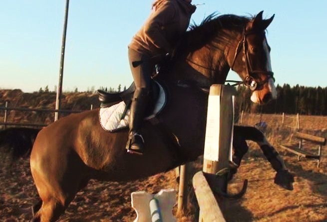 Alice & jag hoppar ut från banan