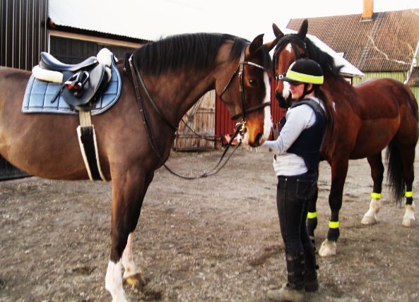 Alice, Sara & Dacke inför skogsturen