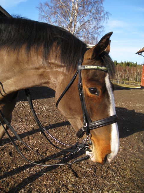 Pannband med gröna swarovskistenar