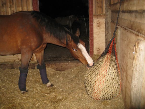 Lindad med Back on Track-paddar