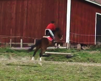 Alice och jag vid upphoppet