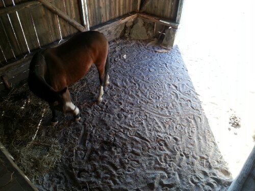 20120915_163200.jpg image