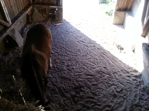 20120915_163210.jpg image