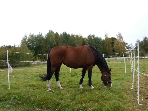 20120921_112942.jpg image