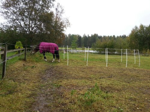 20120921_145854.jpg image