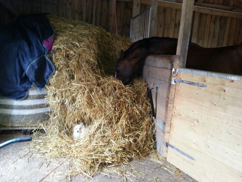 20120926_135806.jpg image