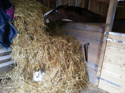 20120926_135813.jpg image