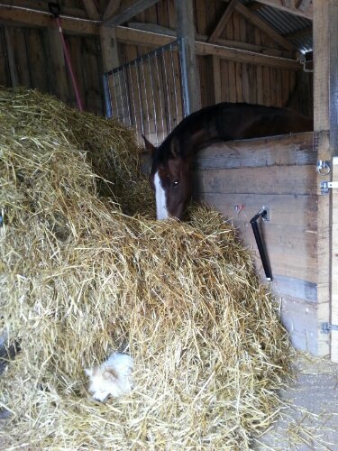 20120926_135901.jpg image