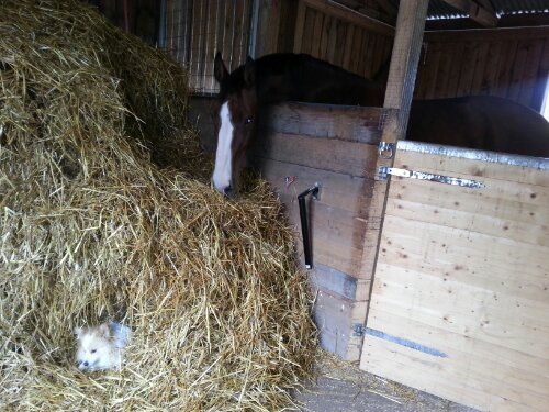 20120926_135907.jpg image