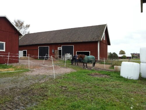 20120927_133215.jpg image