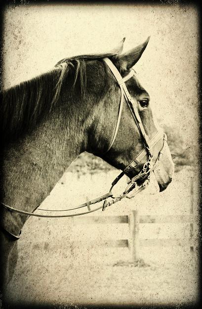 Min vackra flicka...