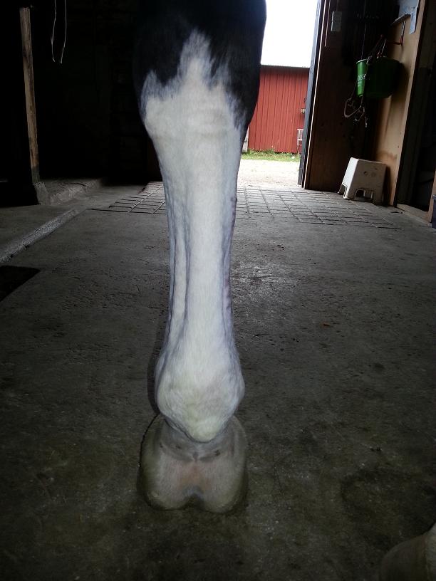 Ser fint ut bakifrån