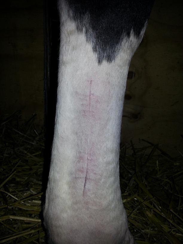 Inte mycket kvar att läka