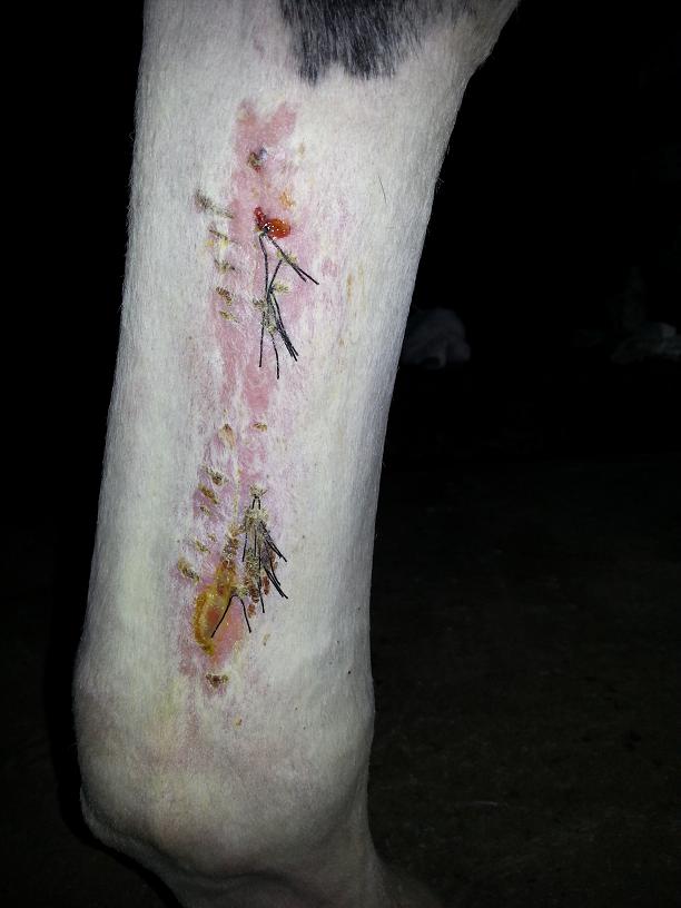 Efter andra operationen