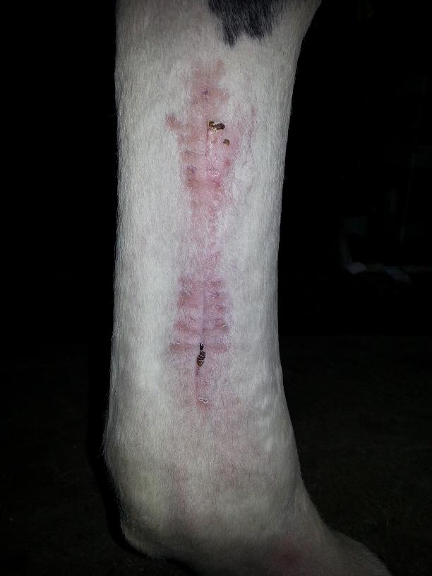 Börjar se riktigt fint ut