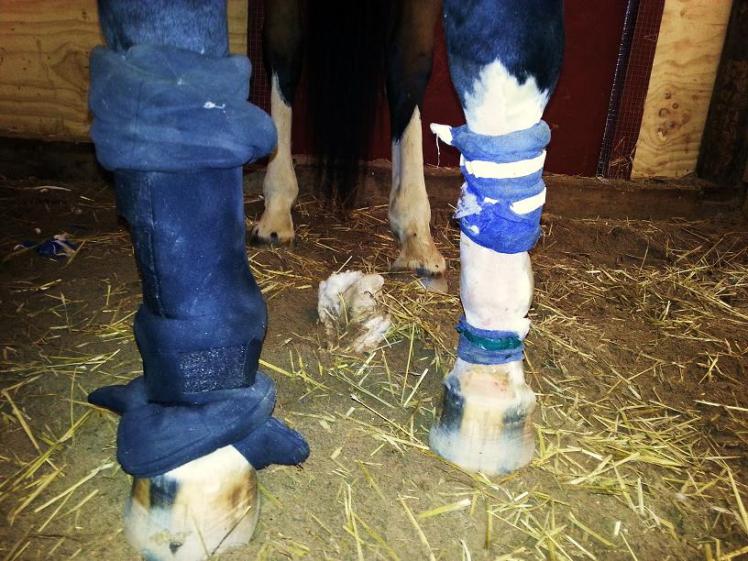 Trasigt bandage efter operation