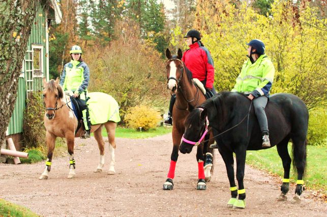 Stensholmen-ryttarna minus Sara