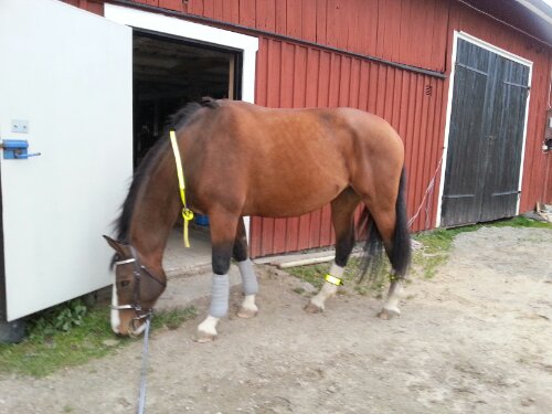 20121008_173456.jpg image