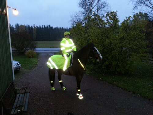 Svåra att missa, eller vad säger ni?