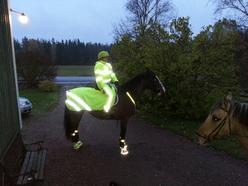 Svåra att missa, eller vad säger ni?