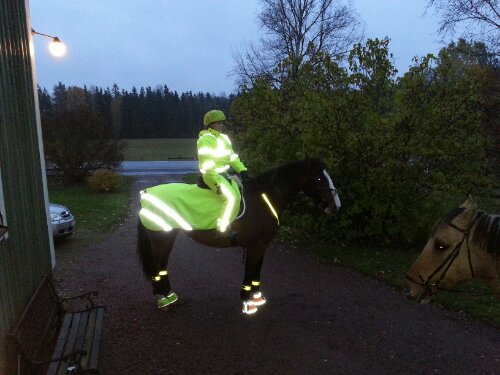 Svåra att missa, eller vad säger ni?