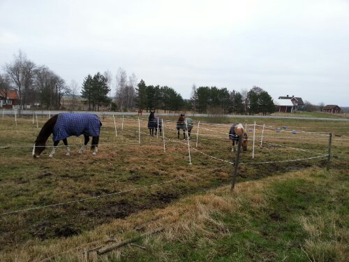 20121117_100515.jpg image