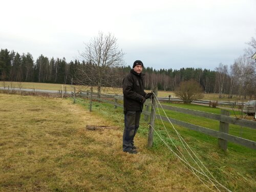 20121117_104920.jpg image