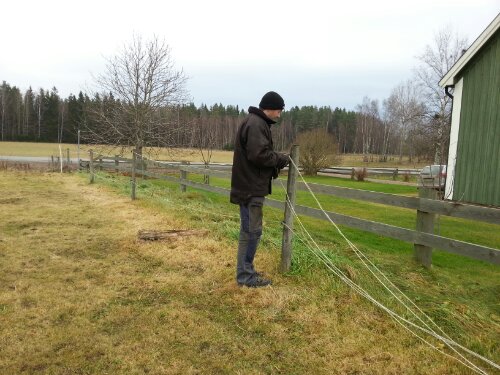 20121117_104935.jpg image