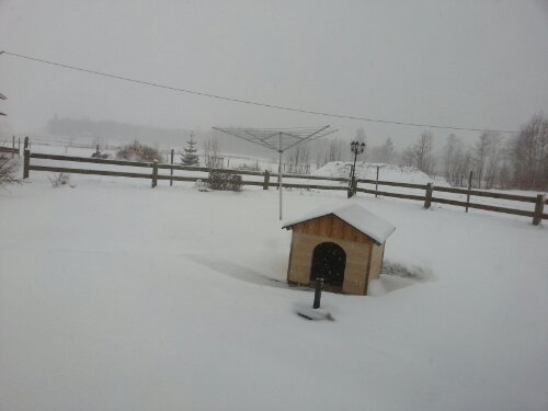 Bilden togs i förmiddags. Nu är det minst det dubbla!