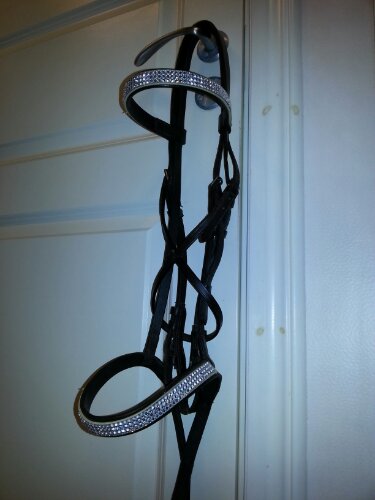 Blingat träns image