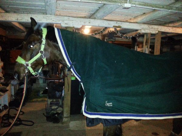 Jacson fleecetäcke med hals